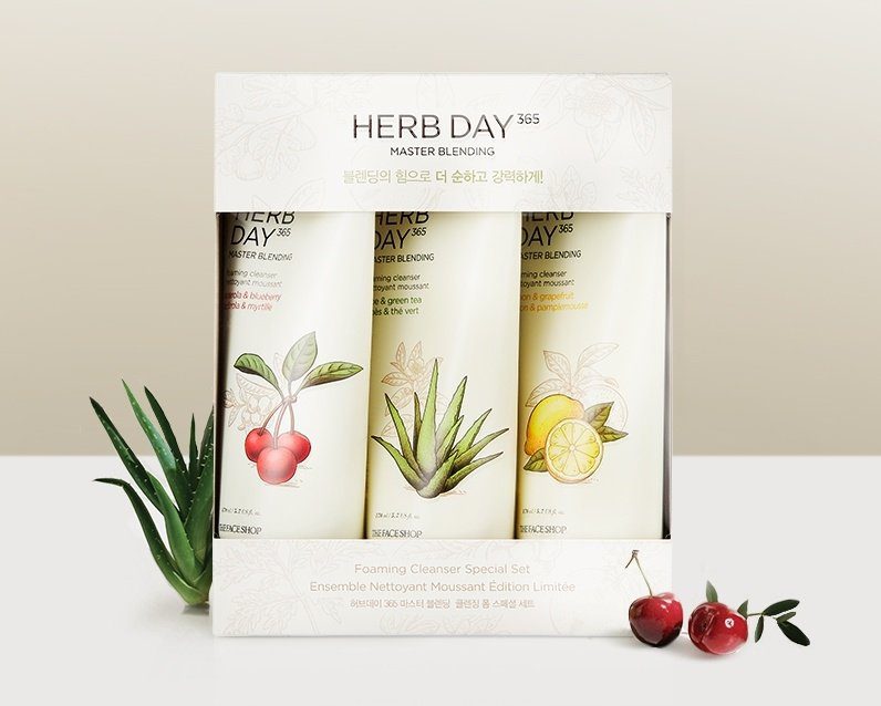 (SET)HERBDAY 365 MASTER BLENDING FACIAL FOAMING CLEANSER SPECIAL SET (GZ) - The Face Shop